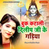 About Book Karali Dilip Ji Ke Gadiya Song